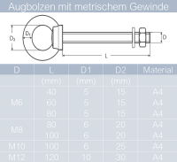 1 St&uuml;ck Augbolzen mit metrischem Gewinde M10 X 100 Edelstahl A4