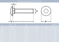 50 St&uuml;ck Schlossschrauben M10 X 60/60 DIN 603 Edelstahl A2 und Sechskantmuttern M10 niedr. Form, selbstsichernd, Polyamidklemmteil DIN 985 Edelstahl A2 und Unterlegscheiben 10,5 (M10) DIN 125 Edelstahl A2